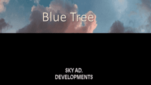 بلو تري القاهرة الجديدة blue tree new cairo