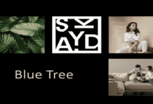 كمبوند blue tree سكاي ابو ظبي