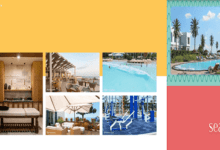 القمزي الساحل الشمالى