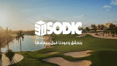 شركة سوديك