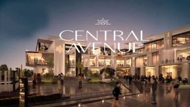 سنترال افينيو الشيخ زايد Central Avenue Sheikh Zayed
