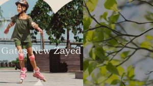 مشروع جيتس نيو زايد Gates new zayed
