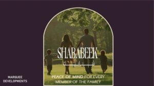 مشروع shababeek القاهرة الجديدة