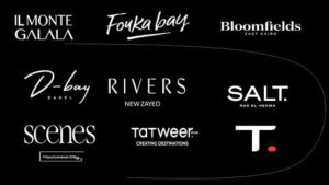 شركة تطوير مصر