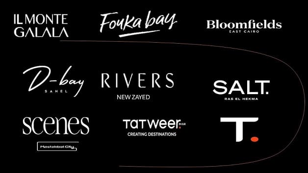 شركة تطوير مصر