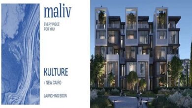 Maliv New Cairo