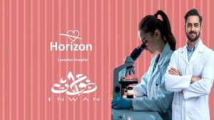 مشروع هورايزن الكندي العاصمة الإدارية