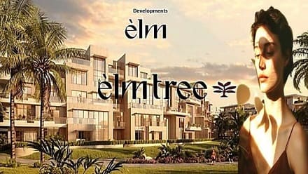 elm tree 6 October