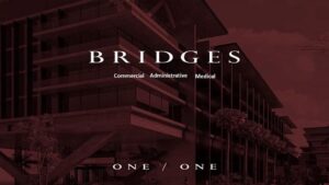 مول بريدجز الشيخ زايد Bridges El Sheikh Zayed