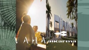 Vaha New Zayed