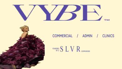 مول فايب القاهرة الجديدة Vybe New Cairo