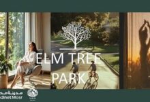 إلم تري بارك مدينة نصر elm tree park