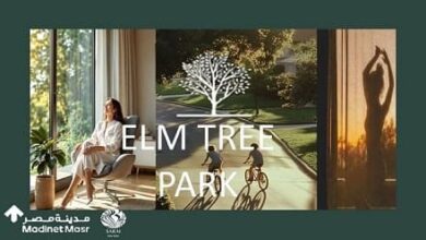 إلم تري بارك مدينة نصر elm tree park