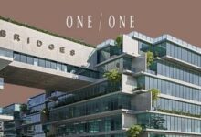 مول بريدجز الشيخ زايد