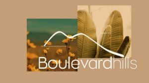 بوليفارد هيلز مشروع العمار جروب