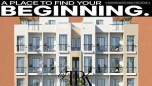 beginnings new zayed