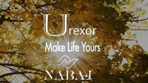 يو ريكسور الشيخ زايد U rexor sheikh Zayed