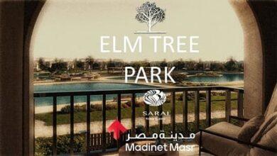 elm tree sarai