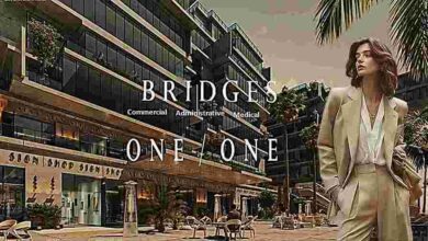 بريدجز مول الشيخ زايد