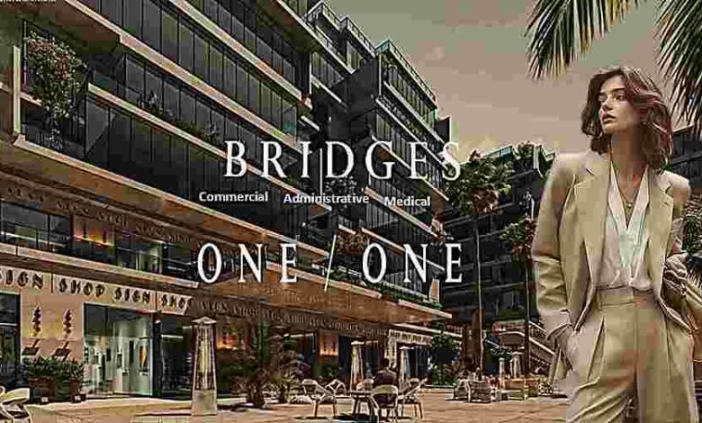 بريدجز مول الشيخ زايد