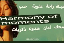 كمبوند هوم حدائق اكتوبر Home Hadayek October