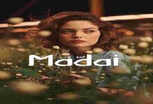 كمبوند ماداي العاصمة الإدارية