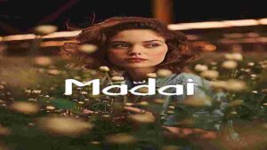 كمبوند ماداي العاصمة الإدارية