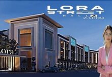 Lora street mall