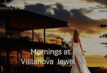 جويل نيو زايد