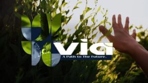 كمبوند فيا اكتوبر Via October