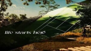 جويل نيو زايد