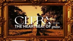 سيترا ريزيدنس زايد الجديدة