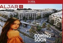 الجار يورك الشروق