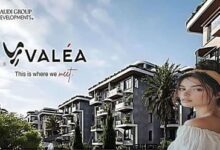 فاليا الشيخ زايد