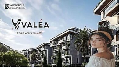 فاليا الشيخ زايد