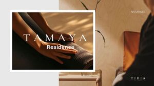 تمايا ريزيدنس الشيخ زايد Tamaya residence