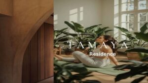 تمايا ريزيدنس الشيخ زايد Tamaya residence