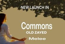 كمبوند كومونز الشيخ زايد Commons Sheikh Zayed
