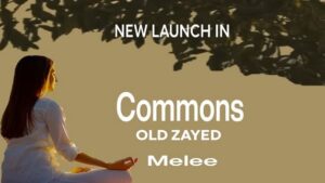 كمبوند كومونز الشيخ زايد Commons Sheikh Zayed