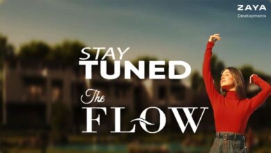 كمبوند ذا فلو الشيخ زايد The FLOW