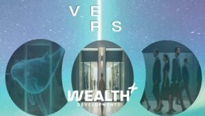 مول فيرس التجمع الخامس VERS New Cairo