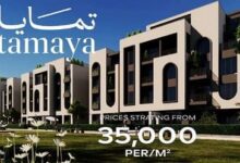 تمايا الشيخ زايد