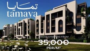 تمايا الشيخ زايد