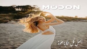 مدن الساحل الشمالي