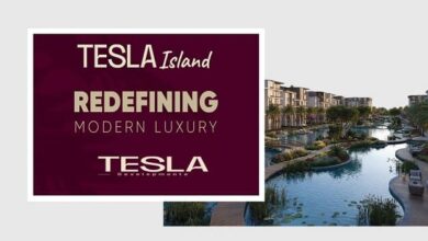 tesla island october