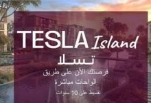 Tesla Island