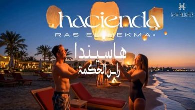 palm hills sahel