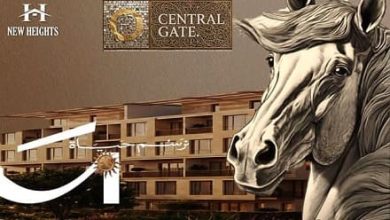 كمبوند ذا سنترال جيت حدائق أكتوبر