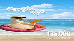 سيسيليا لاجونز الساحل