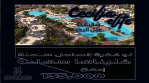 سيسيليا لاجونز